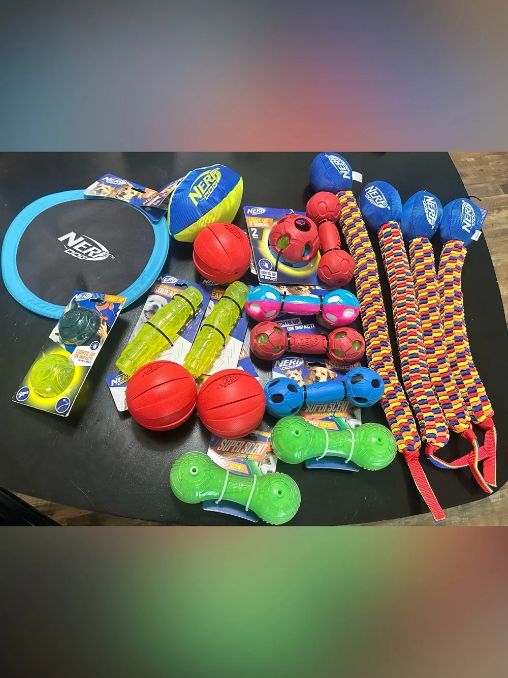 Nerf Multi-Color Dog Toy Assortment – Red, Blue, Green, Yellow, Pink